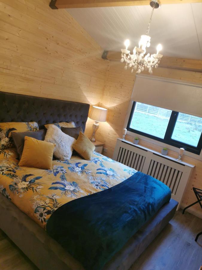 The Lodge Mountain View Log Cabin , Attymass Ballina Boyhollagh Екстериор снимка